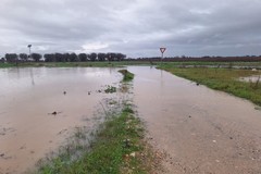 Il bilancio dopo l'ondata di maltempo in Puglia: un bollettino di guerra
