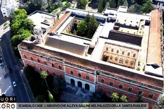 Abusivo alleva galline nel Maria Cristina: il servizio di "Fuori dal coro" porta Bitonto su Rete4