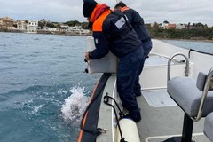 Pesca illegale, nei guai tre pescatori di Bisceglie: bloccati a Santa Marinella