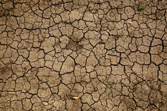 Siccità, anche Cerignola nell'allarme di Coldiretti Puglia: in Capitanata picchi di 38°
