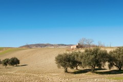 La Regione Puglia pronta a tutelare gli storici tratturi tra Monti Dauni e Gargano