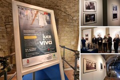Oltre 1000 visite per la mostra “Luce Viva” a Molfetta organizzata dal Viva Network