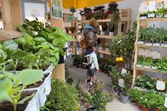 Torna l'orto mania in Puglia tra giardini, balconi e soluzioni fai da te