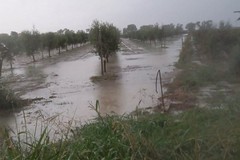 Si contano i danni in provincia di Brindisi dopo il maltempo degli ultimi giorni