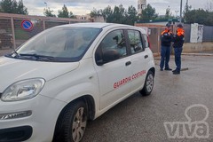 Bisceglie, isole ecologiche chiuse per controlli della Guardia Costiera