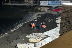 Spiagge, al via la rimozione di alghe al Cagnolo a Bisceglie