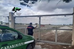 Salento, sequestrato un maneggio nella marina di San Cataldo