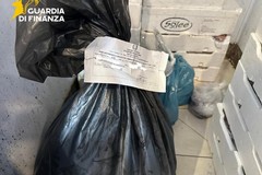 Sanzionata una pescheria di Bitonto: sequestrati 30kg di prodotti ittici privi di tracciabilità