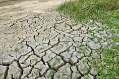 Siccità, scenario critico in provincia di Foggia: l’allarme della Coldiretti Puglia
