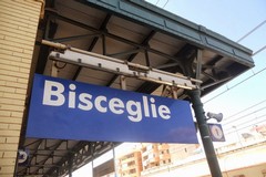 Investimento a Bisceglie, disagi alla circolazione ferroviaria sulla linea adriatica