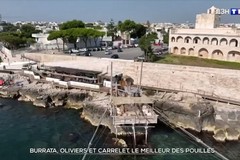 Il Trabucco di Trani nello speciale della tv francese TF1