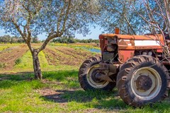 Sostegno alle imprese extra-agricole nella zona di  Taranto: c'è l'avviso