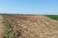 Agricoltore 77enne muore a Carapelle: era scivolato in un pozzo