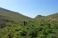 Nasce il MurGeoPark Trail Experience: un Festival nel cuore dell'Alta Murgia