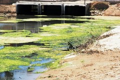 Rebus Canale H a Barletta: per Arpa acque balneabili, ma resta il divieto di balneazione