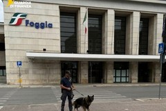 Controlli antidroga in provincia di Foggia: 163 persone individuate e sequestra oltre 6 kg di droga