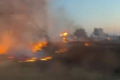 Allarme incendi in provincia di Lecce: migliaia di ulivi distrutti