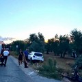 Incidente tra Bitonto e Palombaio: muore l'ex dg dell'Asl di Bari, Colasanto