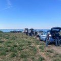 Cadavere sulla spiaggia di Barletta, veterinari ASL alla ricerca di un cane
