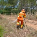 Vasto incendio a Ugento: in fiamme 5 ettari di macchia mediterranea