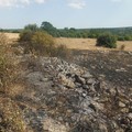 Operazione  "Contro Fuoco ", arrestato l'autore di 13 incendi boschivi