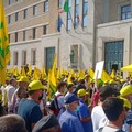 Emergenza cinghiali, agricoltori scendono in piazza