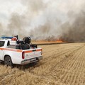 Siccità, in fiamme l'agro di Minervino Murge: distrutti 150 ettari di pineta
