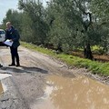 Bitonto, ok dalla Giunta comunale per il rifacimento di tre strade rurali