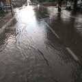 Maltempo, bomba d'acqua in provincia di Foggia: strade allagate