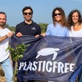 In Puglia la prima  "Foresta Plastic Free " a Valenzano