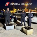 Ricci di mare sequestrati a Manfredonia: multa di 4mila euro per due pescatori