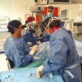 Effettuato il primo trapianto di cornea all'ospedale di Altamura