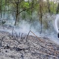 Incendio in un parco vicino Ugento: rogo spento con i Canadair