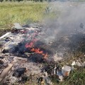 Decoro urbano, roghi in campagna e rifiuti: è battaglia politica a Bitonto