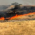 Fiamme sulla Murgia, paura ieri a Minervino
