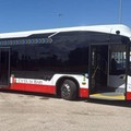 BRT a Bari, il Movimento 5 Stelle: «Una città dove l’auto sia una possibilità, non una necessità»