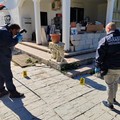 Salento, anziano trovato morto in un pozzo: indagini a tutto campo dei Carabinieri