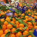 Abusivismo commerciale a Corato: l'esasperazione dei fruttivendoli legali