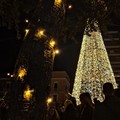 A Barletta è arrivato il Natale: la spettacolare accensione delle luci dell’albero in Piazza Moro