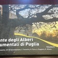 Presentato il secondo volume dell'Atlante degli alberi monumentali di Puglia