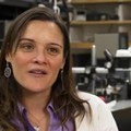 La Nasa premia la ricercatrice pugliese Antonia Gambacorta