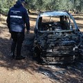 Ritrovati resti di un'auto cannibalizzata. L'intervento delle Guardie Ambietali di Ruvo