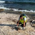 Cane si perde e finisce in mare: salvato da due operatori ecologici