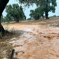 Maltempo in Puglia: quasi il 90% del territorio a rischio smottamenti