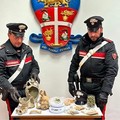 Droga, arrestato a Barletta un 36enne in possesso di oltre 60 grammi di marijuana
