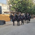 Prima domenica ecologica del Natale 2025 all'insegna dei Carabinieri a cavallo nel centro di Andria