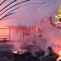 Incendio in azienda florovivaistica vicino Galatina: distrutte le serre