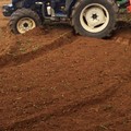 Un'azienda agricola di Palo del Colle razziata. Scatta la solidarietà