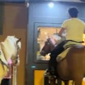 «Dal McDrive al McRide è un attimo»: arrivano a cavallo al McDonald's di Barletta e la scena diventa virale