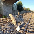 Ripristinata la circolazione ferroviaria sulla linea Foggia-Bari